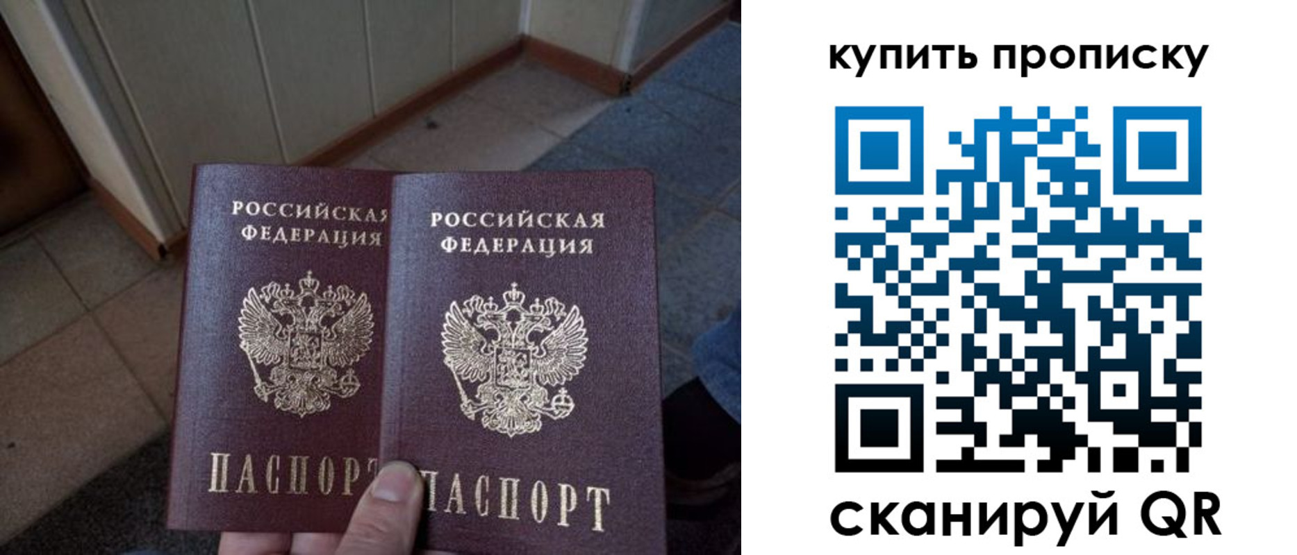 купить прописку в Михайловке